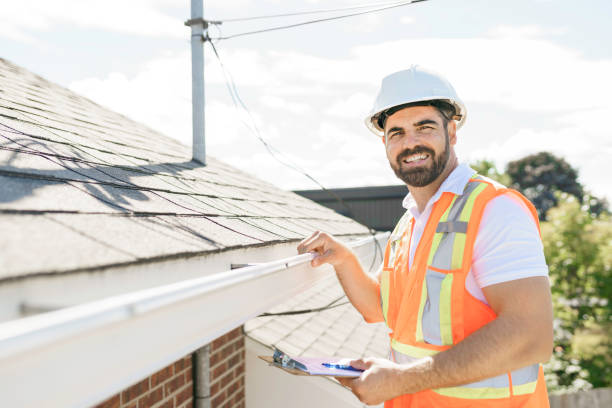 Best Roof Moss and Algae Removal  in Clever, MO